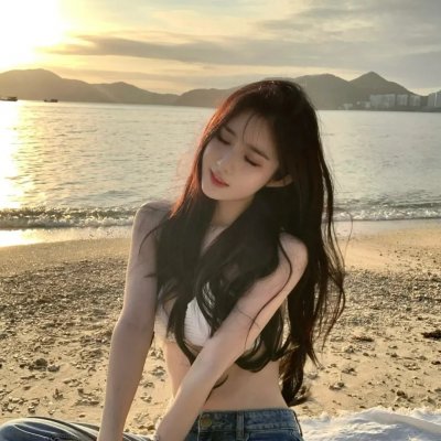 鹬